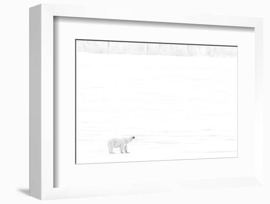 Norway, Arctic Ocean, Svalbard. Polar Bear on Ice Shelf-Bill Young-Framed Photographic Print