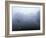 Norway, Aust-Agder, Mavatn Lake, Fog Mood at a Forest Lake-Andreas Keil-Framed Photographic Print