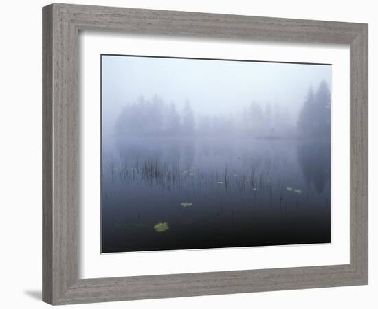 Norway, Aust-Agder, Mavatn Lake, Fog Mood at a Forest Lake-Andreas Keil-Framed Photographic Print