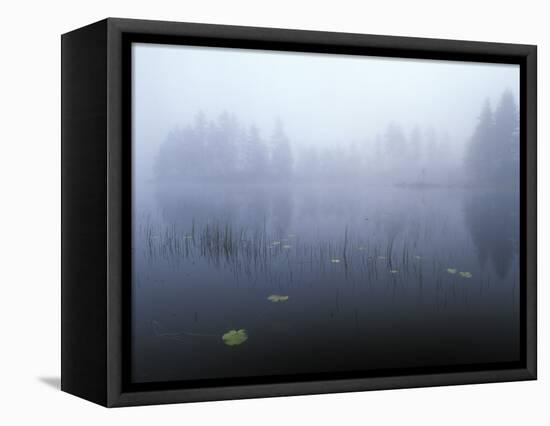 Norway, Aust-Agder, Mavatn Lake, Fog Mood at a Forest Lake-Andreas Keil-Framed Premier Image Canvas