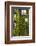 Norway, Bergen. Bryggen Building with Ivy-Kymri Wilt-Framed Photographic Print