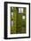 Norway, Bergen. Bryggen Building with Ivy-Kymri Wilt-Framed Photographic Print