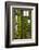 Norway, Bergen. Bryggen Building with Ivy-Kymri Wilt-Framed Photographic Print