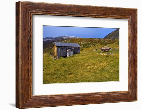 Norway, Dovre, Alpine Dairies in Grimsdalen, Autumn-K. Schlierbach-Framed Photographic Print