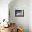 Norway Fine Foods Sild Sardines-null-Framed Stretched Canvas displayed on a wall