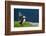 Norway, Finnmark, Loppa. Atlantic Puffin at their nesting cliffs.-Fredrik Norrsell-Framed Photographic Print