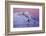 Norway, Lofoten, Moskenesoya, Kirkefjord, Pure Mountains-Bernd Rommelt-Framed Photographic Print