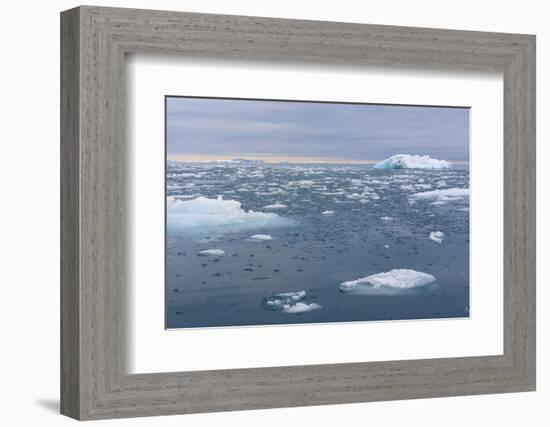 Norway. Nordaustlandet Island. Brasvelbreen. Brash Ice in the Water-Inger Hogstrom-Framed Photographic Print