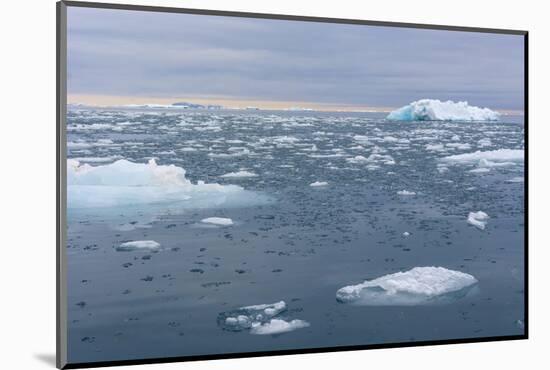 Norway. Nordaustlandet Island. Brasvelbreen. Brash Ice in the Water-Inger Hogstrom-Mounted Photographic Print