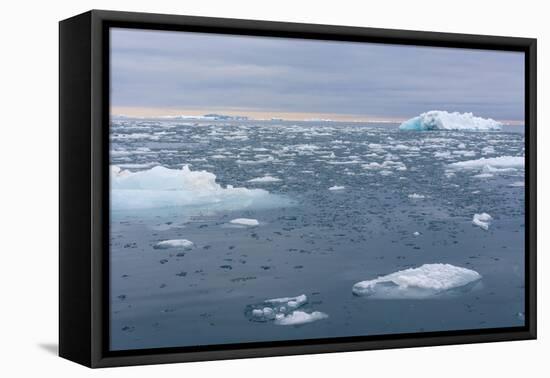Norway. Nordaustlandet Island. Brasvelbreen. Brash Ice in the Water-Inger Hogstrom-Framed Premier Image Canvas