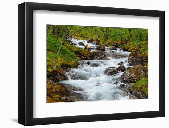 Norway, Nordland, Tysfjord. Woman sitting along Storelva, river that flows from Stetind mountain-Fredrik Norrsell-Framed Photographic Print