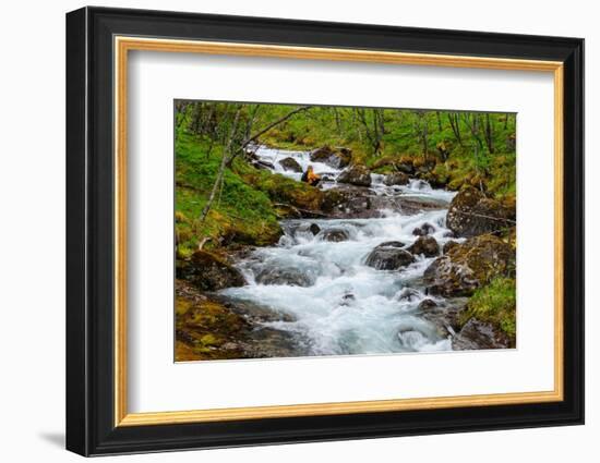 Norway, Nordland, Tysfjord. Woman sitting along Storelva, river that flows from Stetind mountain-Fredrik Norrsell-Framed Photographic Print