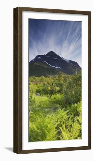 Norway, Northern Country, Hinnoya, Botntindan, Fern-Rainer Mirau-Framed Photographic Print