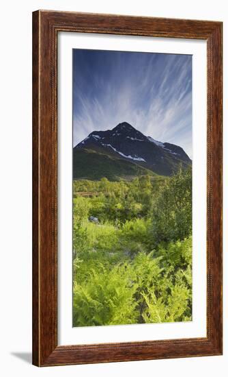 Norway, Northern Country, Hinnoya, Botntindan, Fern-Rainer Mirau-Framed Photographic Print