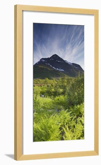 Norway, Northern Country, Hinnoya, Botntindan, Fern-Rainer Mirau-Framed Photographic Print