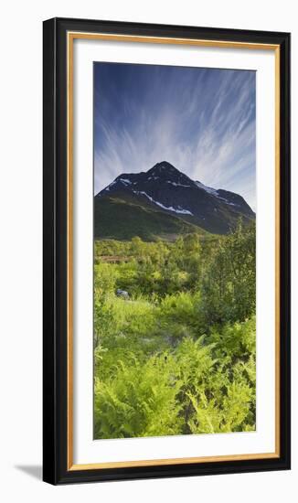 Norway, Northern Country, Hinnoya, Botntindan, Fern-Rainer Mirau-Framed Photographic Print