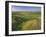 Norway, Northern Country, Lofoten, Gimsoya, Golf Course-Rainer Mirau-Framed Photographic Print