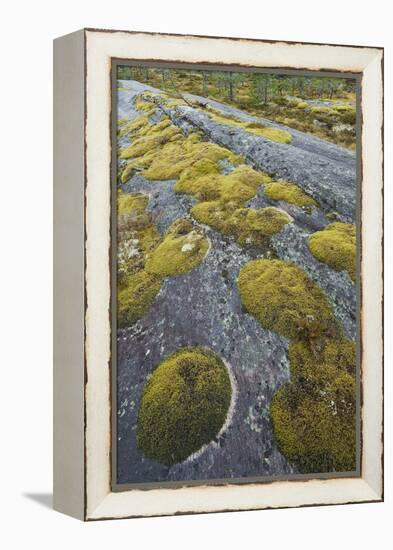 Norway, Northern Country, Moss, Rock-Rainer Mirau-Framed Premier Image Canvas