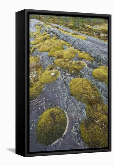 Norway, Northern Country, Moss, Rock-Rainer Mirau-Framed Premier Image Canvas