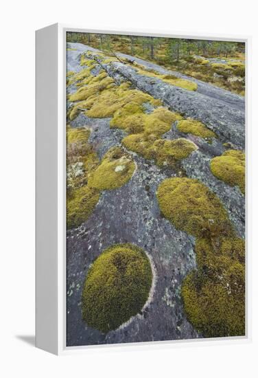 Norway, Northern Country, Moss, Rock-Rainer Mirau-Framed Premier Image Canvas