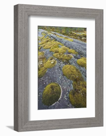 Norway, Northern Country, Moss, Rock-Rainer Mirau-Framed Photographic Print