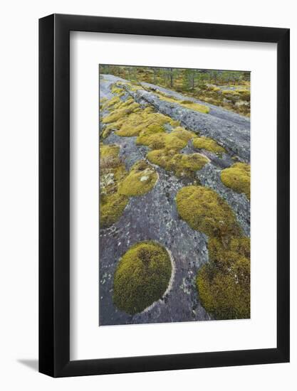 Norway, Northern Country, Moss, Rock-Rainer Mirau-Framed Photographic Print