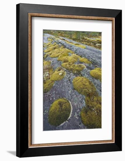 Norway, Northern Country, Moss, Rock-Rainer Mirau-Framed Photographic Print