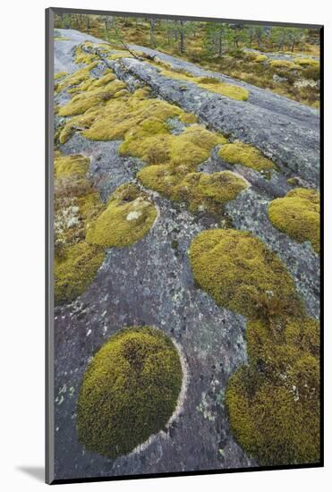 Norway, Northern Country, Moss, Rock-Rainer Mirau-Mounted Photographic Print