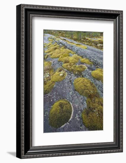 Norway, Northern Country, Moss, Rock-Rainer Mirau-Framed Photographic Print