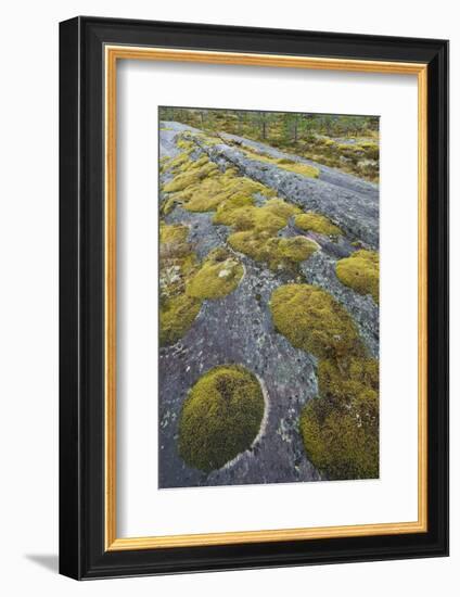 Norway, Northern Country, Moss, Rock-Rainer Mirau-Framed Photographic Print
