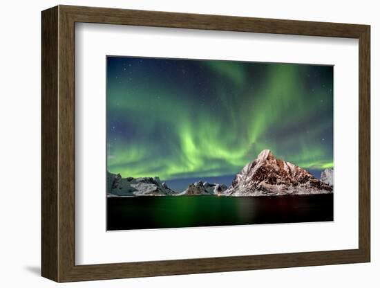 Norway, Northern Lights, Aurora Borealis-Bernd Rommelt-Framed Photographic Print