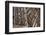 Norway, Oslo. Historic Hand Carved Wooden Loft-Cindy Miller Hopkins-Framed Photographic Print