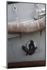 Norway, Oslo. Ship anchor detail in Oslo port, Norway.-Kymri Wilt-Mounted Photographic Print