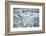 Norway, Spitsbergen. Flock of Black-Legged Kittiwakes Take Flight-Steve Kazlowski-Framed Photographic Print