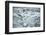 Norway, Spitsbergen. Flock of Black-Legged Kittiwakes Take Flight-Steve Kazlowski-Framed Photographic Print