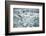 Norway, Spitsbergen. Flock of Black-Legged Kittiwakes Take Flight-Steve Kazlowski-Framed Photographic Print