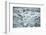 Norway, Spitsbergen. Flock of Black-Legged Kittiwakes Take Flight-Steve Kazlowski-Framed Photographic Print