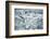 Norway, Spitsbergen. Flock of Black-Legged Kittiwakes Take Flight-Steve Kazlowski-Framed Photographic Print