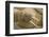 Norway, Spitsbergen, Nordaustlandet. Walrus Bull Resting on a Beach-Steve Kazlowski-Framed Photographic Print