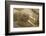 Norway, Spitsbergen, Nordaustlandet. Walrus Bull Resting on a Beach-Steve Kazlowski-Framed Photographic Print