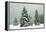 Norway Spruce in Heavy Snow-null-Framed Premier Image Canvas