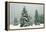 Norway Spruce in Heavy Snow-null-Framed Premier Image Canvas