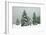 Norway Spruce in Heavy Snow-null-Framed Photographic Print