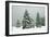 Norway Spruce in Heavy Snow-null-Framed Photographic Print