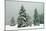 Norway Spruce in Heavy Snow-null-Mounted Photographic Print