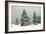 Norway Spruce in Heavy Snow-null-Framed Photographic Print