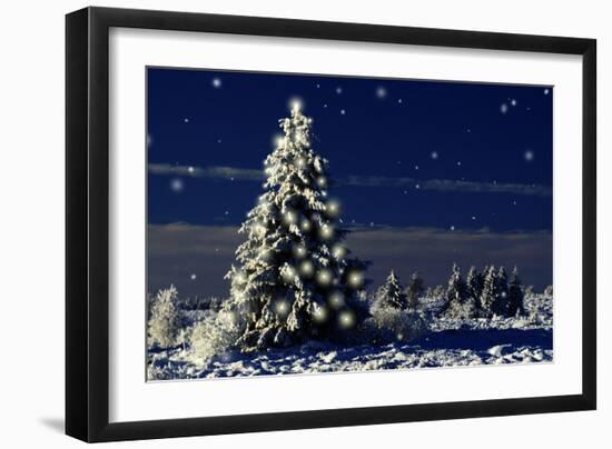 Photographic Print, , large
