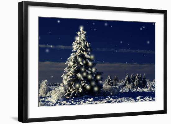 Photographic Print, , large