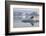 Norway, Svalbard. Bearded Seal Resting on Ice-Jaynes Gallery-Framed Photographic Print