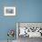 Norway, Svalbard. Bearded Seal Resting on Ice-Jaynes Gallery-Framed Photographic Print displayed on a wall